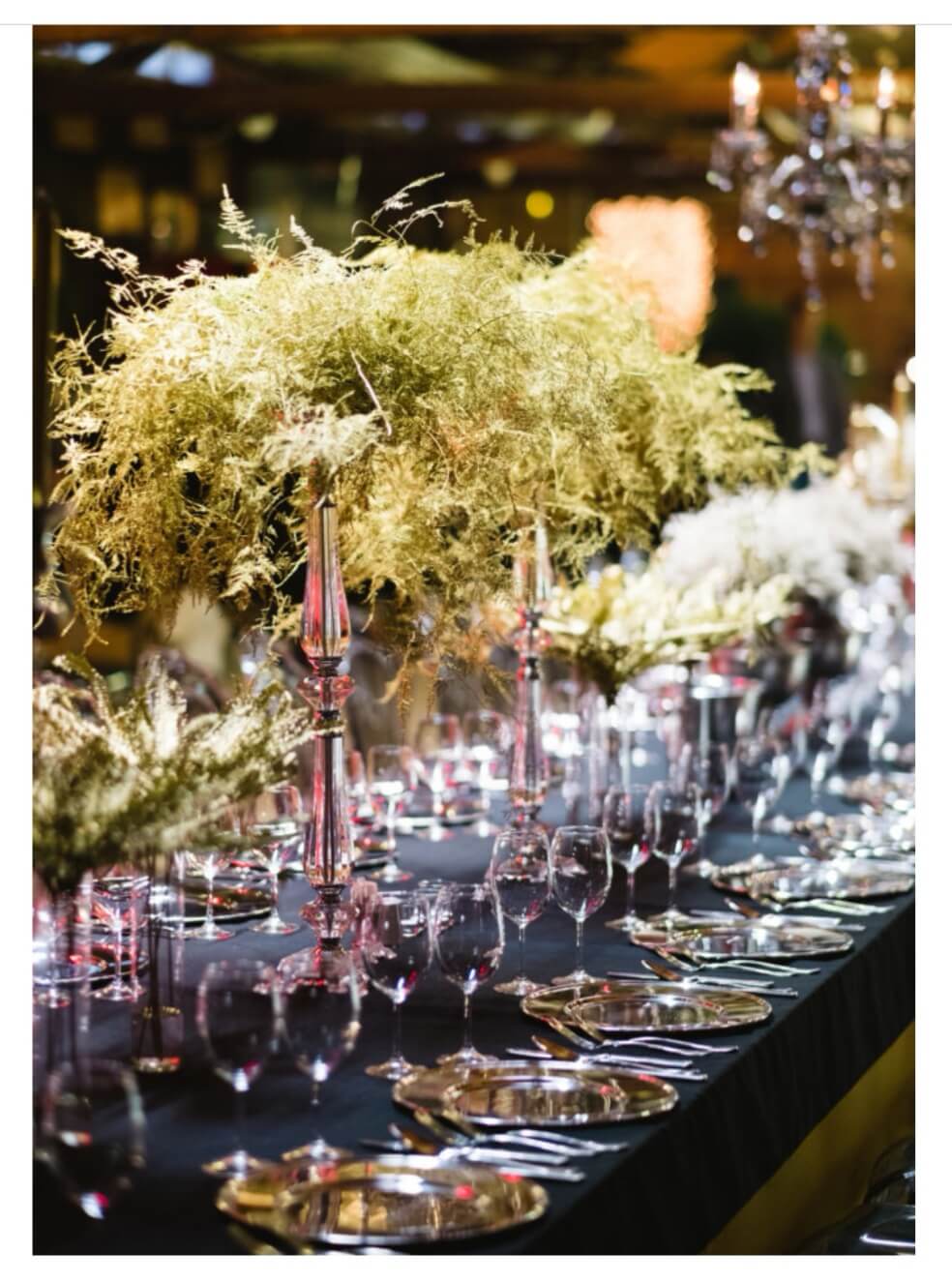 String quartet at Csónakház wedding